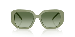 Milky Green / Green Gradient (20228E)