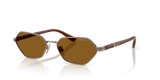 Light Brown / Dark Brown Polarized