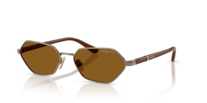 Light Brown / Dark Brown Polarized