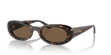 Dark Havana / Dark Brown