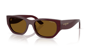 Full Bordeaux / Dark Brown Polarized