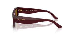 Full Bordeaux / Dark Brown Polarized