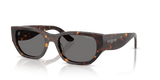 Dark Havana / Dark Grey Polarized