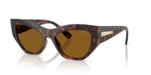 Total Dark Havana / Dark Brown Polarized