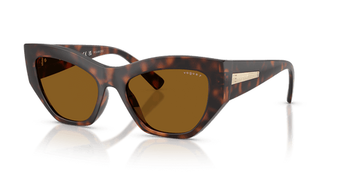 Total Dark Havana / Dark Brown Polarized