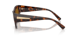 Total Dark Havana / Dark Brown Polarized