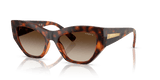 Dark Havana / Gradient Dark Brown