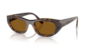 Total Dark Havana / Dark Brown Polarized