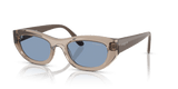 Transparent Light Brown / Blue