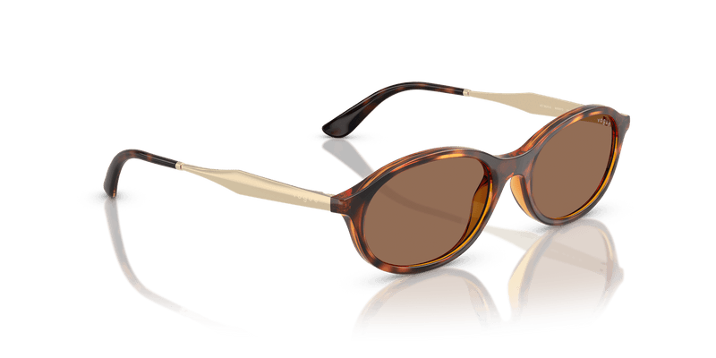 Vogue Eyewear VO5625S in Dark Havana / Dark Brown (W65673) - Alternate View