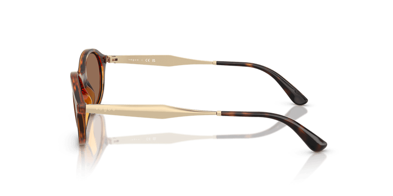 Vogue Eyewear VO5625S in Dark Havana / Dark Brown (W65673) - Alternate View