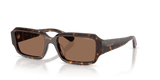 Dark Havana / Dark Brown (W65673)