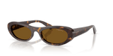 Dark Havana / Dark Brown Polar (W65683)